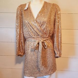 Beautiful Francesca's Dress Size S